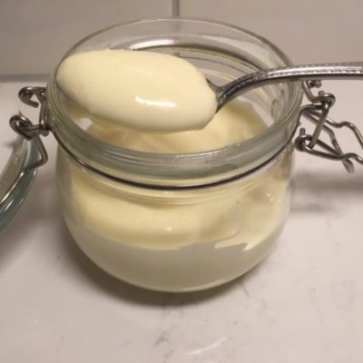 DELICIOUS HOMEMADE PALEO MAYO – SO EASY!